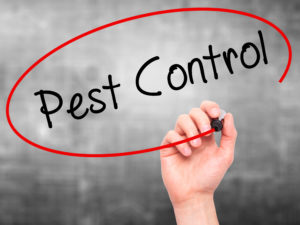 Commercial pest control